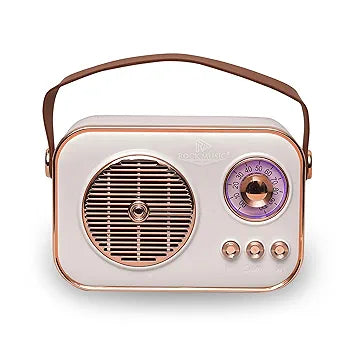 Portable Bluetooth Speaker